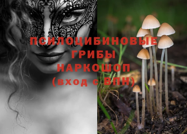 спайс Усинск