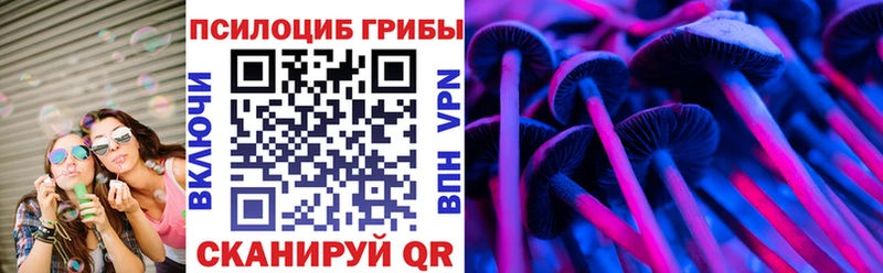 Галлюциногенные грибы MAGIC MUSHROOMS  где найти   мориарти какой сайт  Алейск  blacksprut tor 