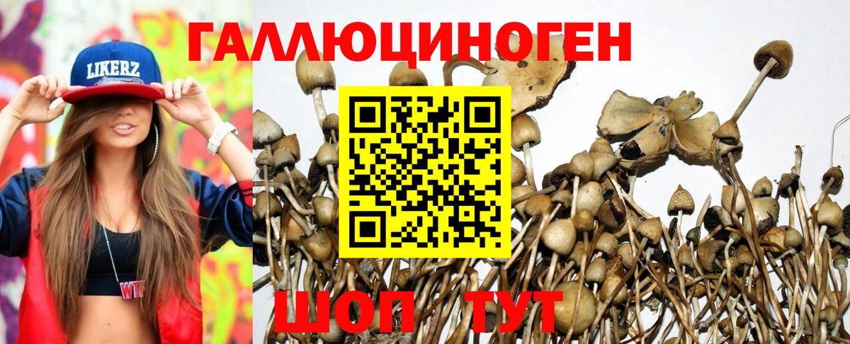 Псилоцибиновые грибы Magic Shrooms Алейск