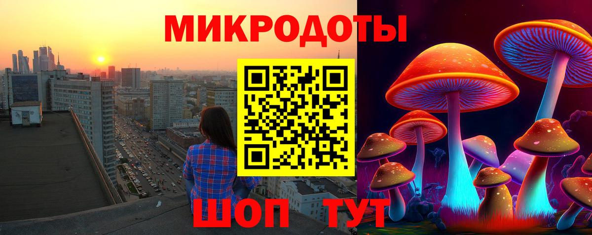 купить  сайты  Вход с VPN  Алейск  Галлюциногенные грибы мицелий 